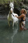 конные прогулки к водопадам в Лазаревском